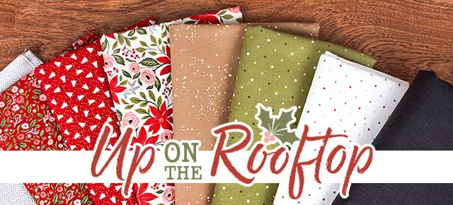 Up on The Rooftop Mystery